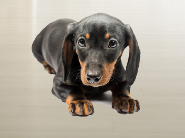 W0002-Tile Neuro for Newbies