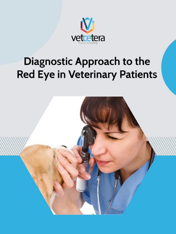 Diagnostic Approach to the Red Eye in Veterinary Patients