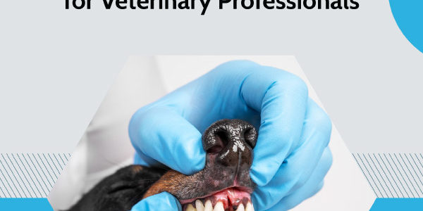 Dental Radiology Guide for Vet Students