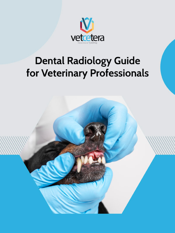 Dental Radiology Guide for Vet Students