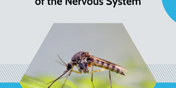 8 Infectious Diseases of the Nervous System