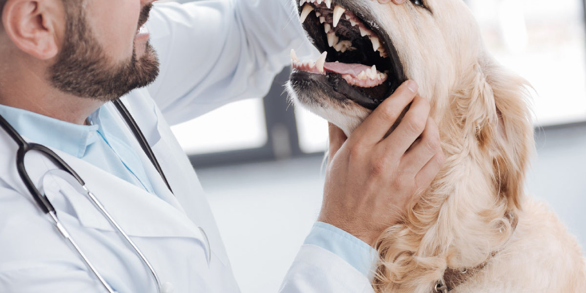 Anesthesia-Free Dentistry: What’s the Big Deal?