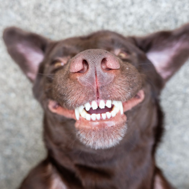 5 Tips to Prevent Dental Extraction Complications