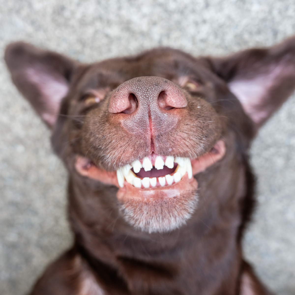 5 Tips to Prevent Dental Extraction Complications