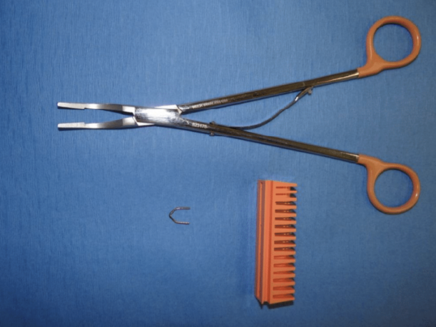 Intra-abdominal Biopsy Techniques in Dogs and Cats