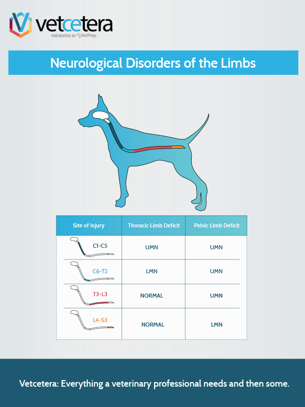 Neurological Disorders of the Limbs