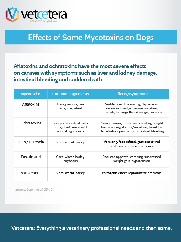 Effects of Some Mycotoxins on Dogs