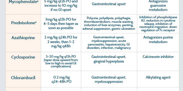 Medications for Treating Lyme Disease in Dogs and Cats: Immunosuppressive Drugs for Management of Immune–Complex Glomerular Disease