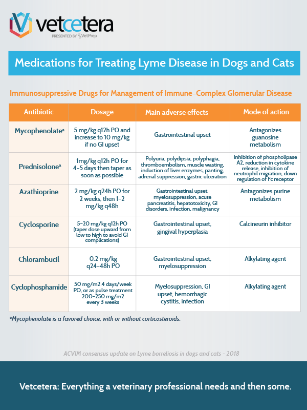 Medications for Treating Lyme Disease in Dogs and Cats ...