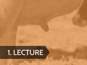 The Role of Bovine Colostrum in Dog & Cat Nutritional Health Module 2