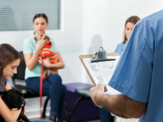 The Role of Bovine Colostrum in Dog & Cat Nutritional Health Module 3