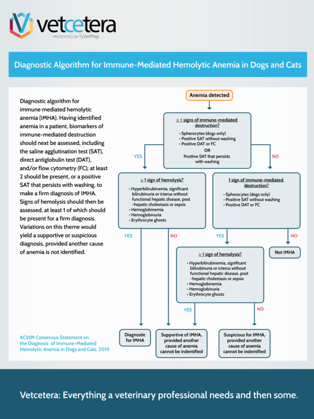 Diagnostic Algorithm for Immune-Mediated Hemolytic Anemia in Dogs and Cats