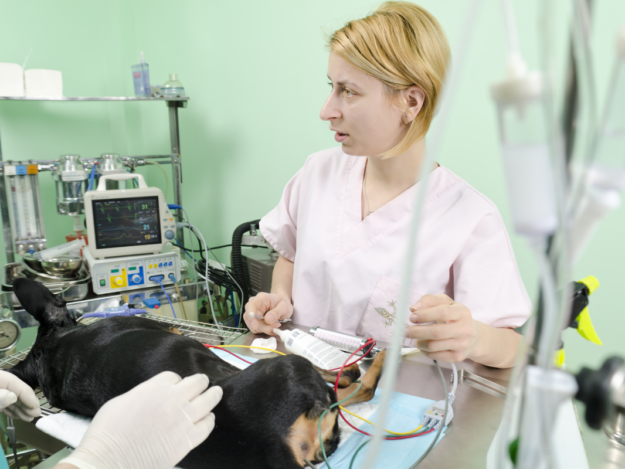 Understanding Capnography--It's Breathtaking!