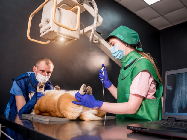 'So Rad!' Positioning for Safety and Success in the Radiology Suite