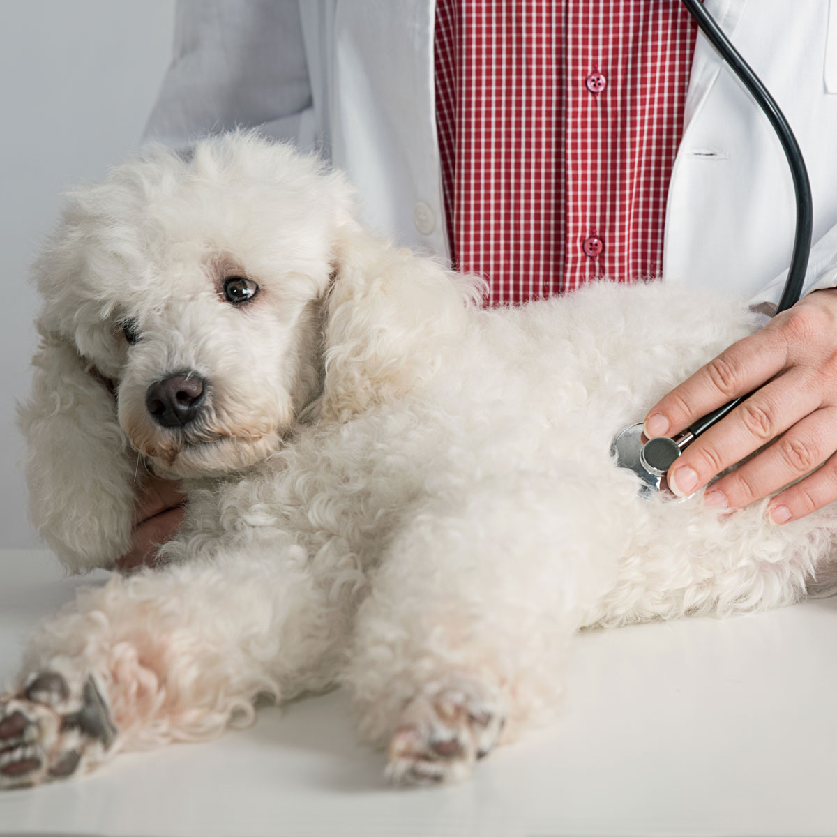 Addisonian Crisis Management. Let’s Get Salty, K? Vetcetera