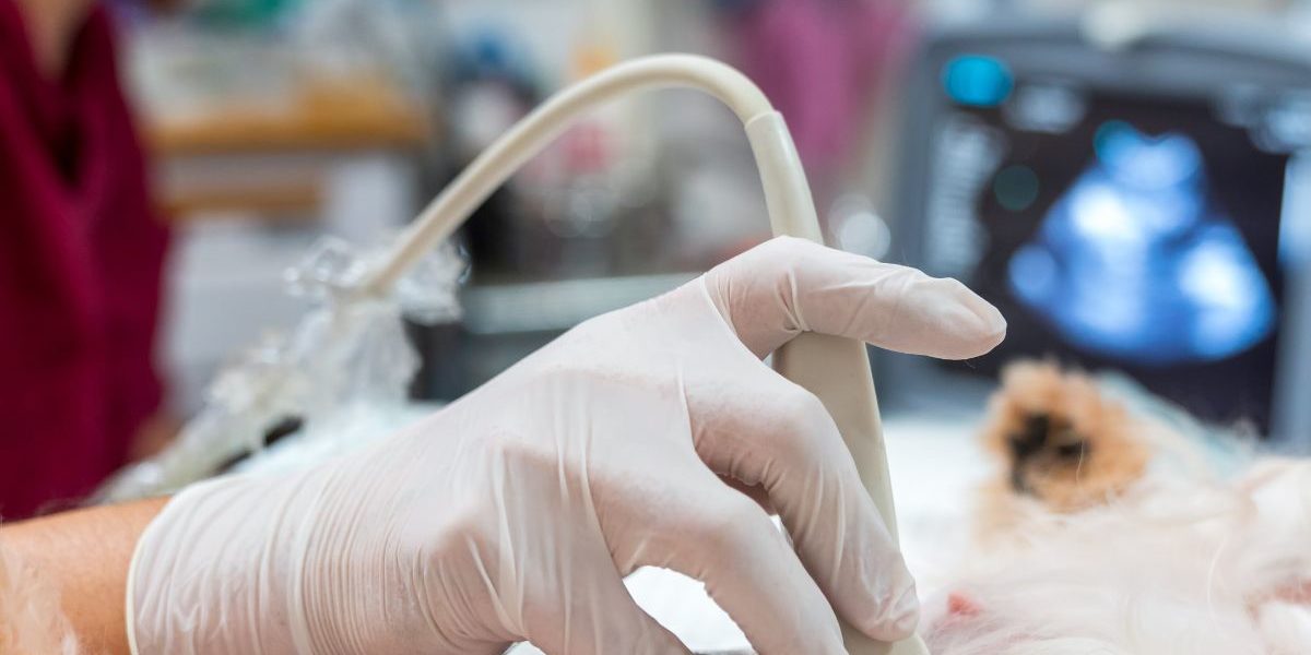 AFAST® and Its Target-organ Approach for Soft Tissue Abnormalities