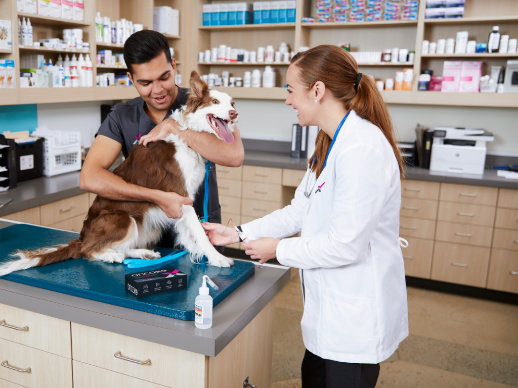 Cancer detection in 2022: Can a blood test really find 30 different types of cancer in dogs?