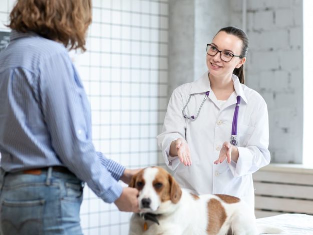 Cultivating the Client Behaviors You Want Through Marketing Efforts