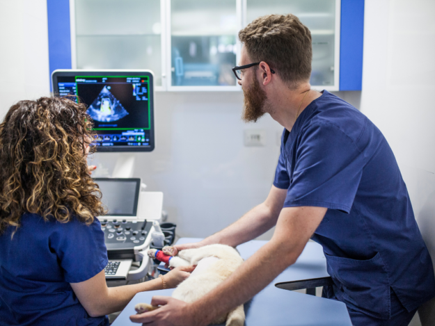 AFAST© Introduction and Its Target-organ Approach - Everyday Ultrasound