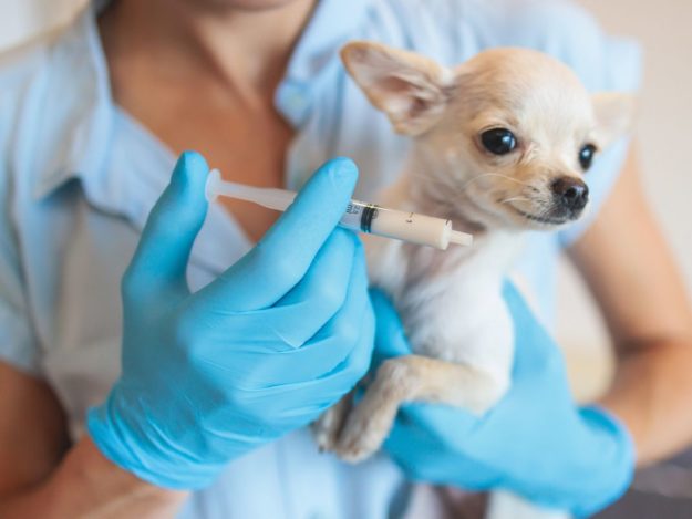 Itsy Bitsy ICU: Nursing Hacks for your Smallest Patients