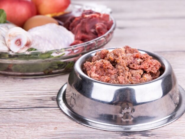 Small Animal Nutrition - Busting Those Myths and Misconceptions