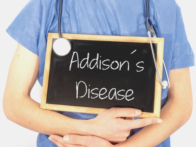Addison's Disease - Vet Candy Simulated Live Webinar