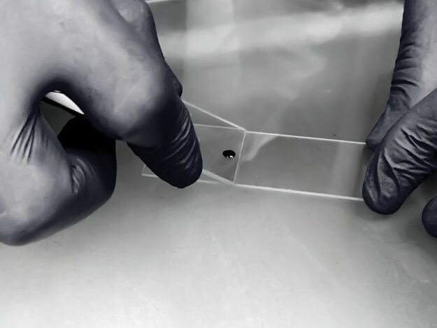 Cytology Part 1: Sample Collection, Processing, and Slide Preparation