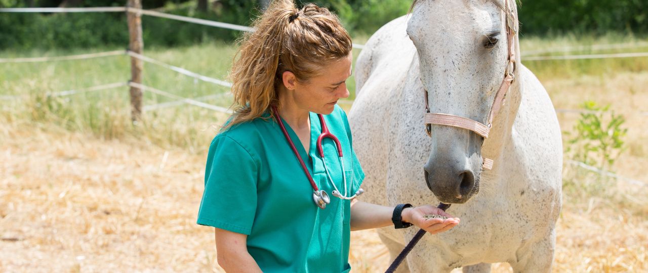 [inar] Enhancement of equine wound healing using regenerative