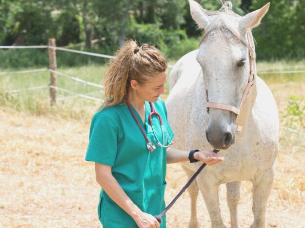 Enhancement of equine wound healing using regenerative nanoparticle technology