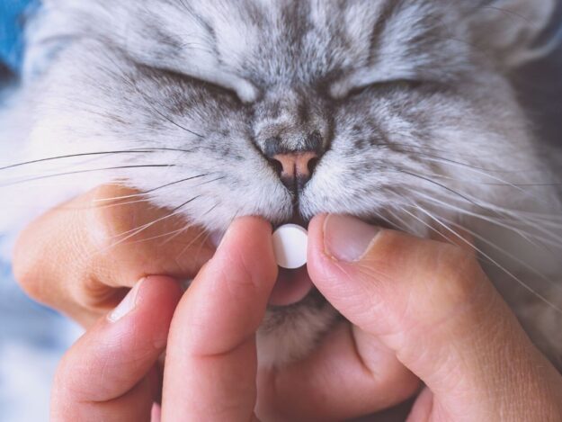 What’s new with and review about NSAIDS