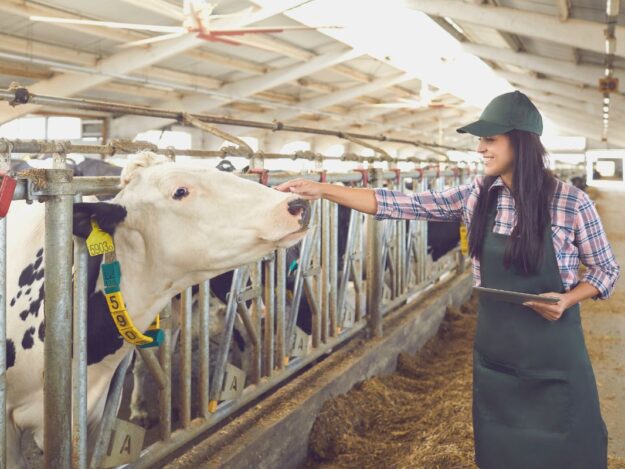 Developing Herd Health Programs Through a Risk-Based Approach