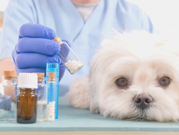 Navigating the Muddy Waters of Pharmacy: Improving Outcomes and Reducing Errors