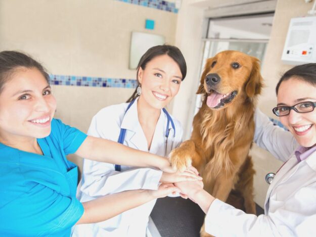 Leadership Skills for All: How Anyone in a Practice can Maximize their Personal Leadership Potential