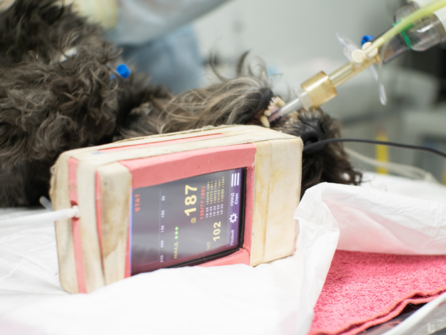 Effective Anesthesia Monitoring - Part 2