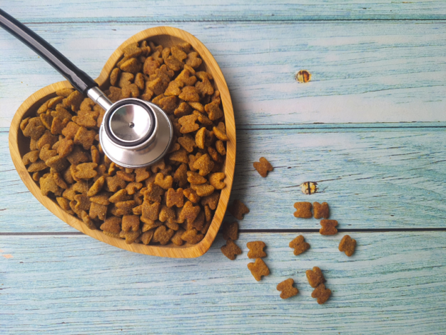 Feline Hypertrophic Cardiomyopathy and the Role of Nutrition