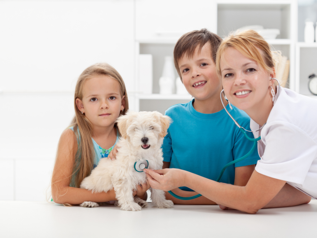 Can You Have it All? Parenting in Vet Med