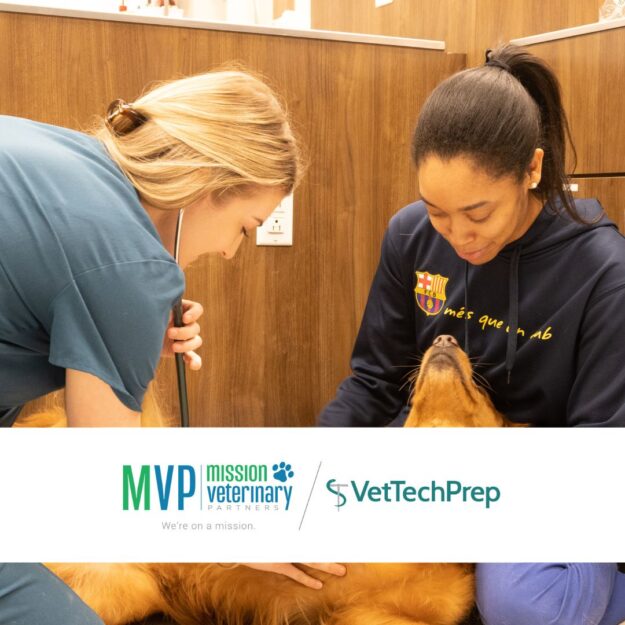 MVP June Feature VetTechPrep
