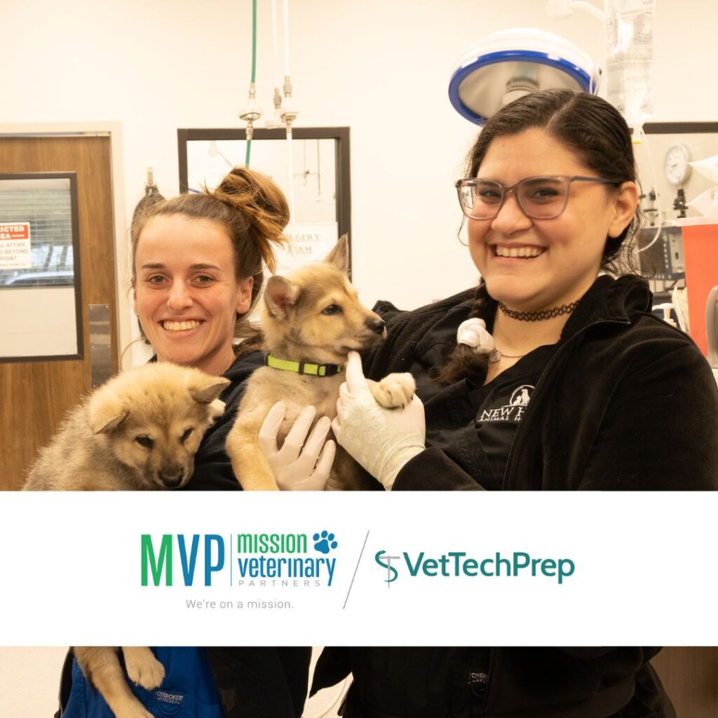 Two vet technicians holding dogs.