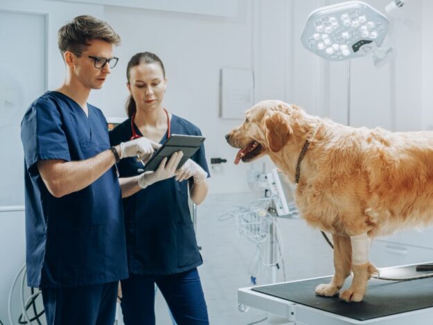 Putting the TEAM into Teamwork