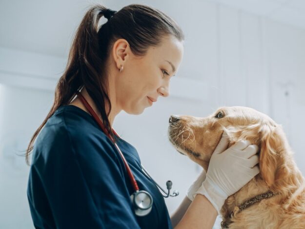 Maximizing Veterinary Technician Utilization - Session 2: Overcoming Barriers and Implementing Workflows