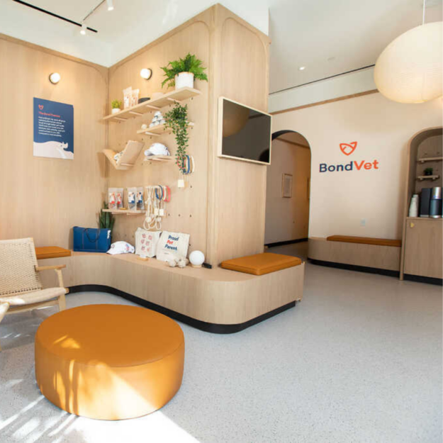 What we wish we new before graduating as a vet tech