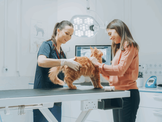 Say "Yes We Can" to More Clients