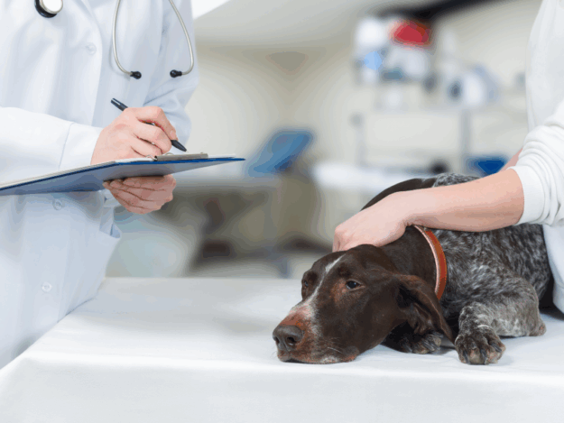 The Anatomy of an Error: Dissecting Mistakes to Build Safer Systems