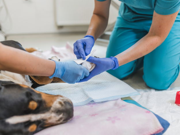 Bandaging 102 – Advanced Bandaging Techniques