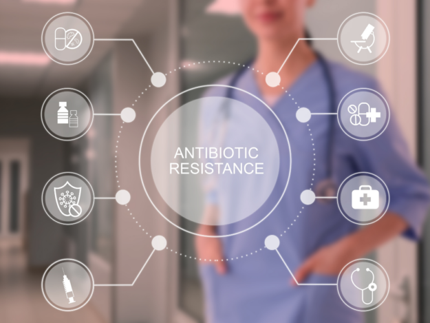 Antibiotic Stewardship in Veterinary Medicine: From Policy to Practice