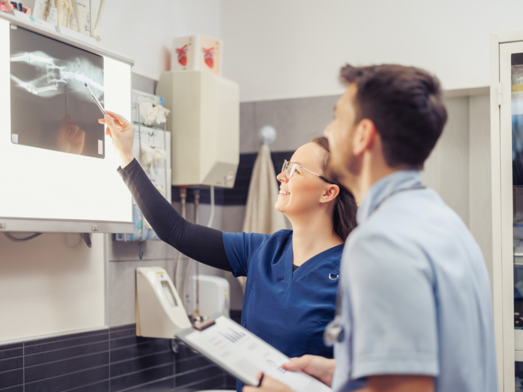 Pivot with Purpose: Reimagining Your Veterinary Career