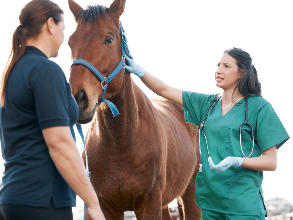 Medical Colic in the Adult Horse
