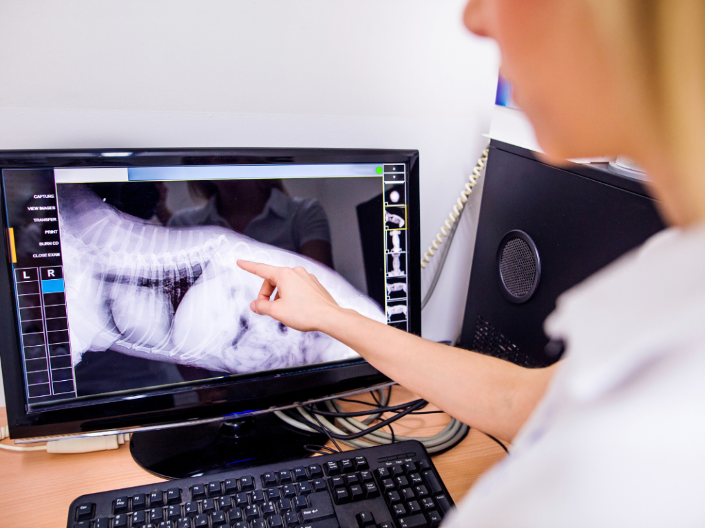 Introduction to Radiographs - Patient Preparation, Positioning & Image Review